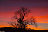 After Sunset - Cades Cove