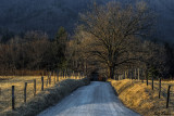 Sparks Lane in Winter 