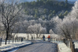 Winter Biking-Cades Cove