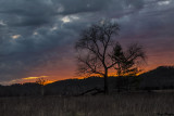 Cades Cove After the Sun Set