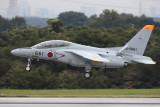 T4_165661_Iruma_061017-1.jpg