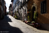 Montecarlo,Lucca