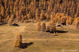 Livigno (Sondrio)