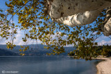 Angera,Lago Maggiore.