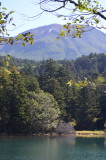 3_DSC_0060.JPG