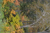 1_DSC_0208.JPG