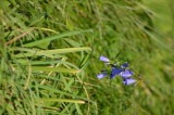 3_DSC_0271.JPG