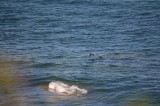 3_DSC_0244.JPG