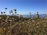 The End of Spring