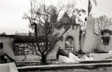 Ventura Fire
