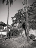 Aftermath Near The Canyons and Hill Tops