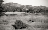 Hobo Jungle
