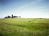 Typical Farm in Wisconsin #2