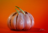 Objets et natures mortes