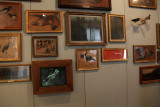 Musée de la chasseCherchez l'intru