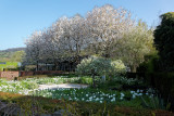 Giverny</br>