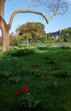 Giverny