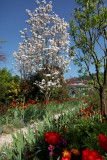 Giverny