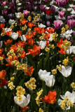 Giverny