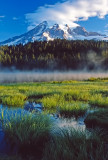 Grasses at Reflection Lake, Mt. Rainier National Park, WA