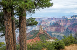 Ponderosa Pines and Hayden Peak, Point Imperial, Grand Canyon National Park, AZ