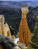 The Hunter, Bryce Canyon National Park, UT