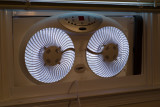 ISO 400; SR approx 5 stops