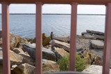 Outer Harbor