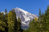  First View of  Mount Rainier