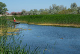  Clearing_the_canal