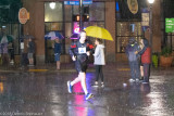 ds20180721-0244 Twilighter 2018.jpg