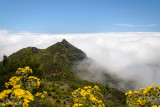 Above the cloud deck