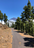 Mount Teide in the background