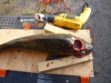 After drilling.