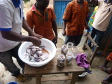 Packing canning jars with tilapia