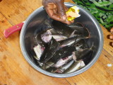 Adding spices to catfish before canning