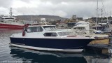 Jodvig TN 100