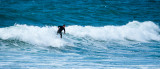 Lone Surfer
