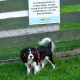 Baillie wondering what the sign is about