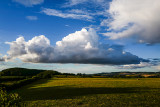 Evening low clouds from our back garden