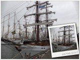 Tall Ships and Navydays Den Helder 2008 / 2017