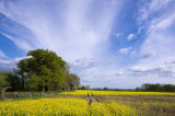 Fields in Devon