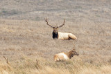 Point Reyes National Seashore