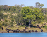 Kruger national park