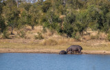 Kruger national park