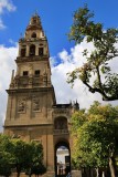 Crdoba. Mezquita