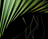greenway_august