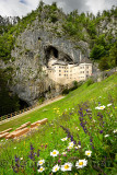 Wildflowers on hillside at Predjama Castle 1570 Renaissance fortress built into the mouth of a cliffside cave in Slovenia