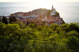 Setting sun on hillside trees below Town Wall of Piran Slovenia on the Adriatic Sea with Tartini Sqaure, St Francis church and S