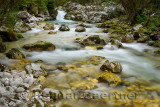 Cold alpine Lepenica river in Spring at Sunikov Vodni Gaj Nature Preserve in Triglav National Park Julian Alps Lepena Valley Slo